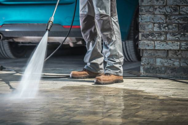 Best Roof Washing  in Punta Rassa, FL