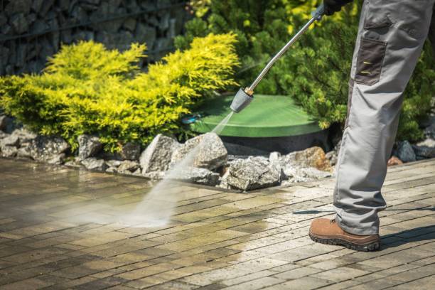 Best Pre-Holiday Cleaning  in Punta Rassa, FL