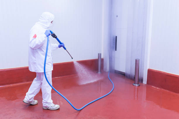 Reliable Punta Rassa, FL Pressure Washing Services Solutions