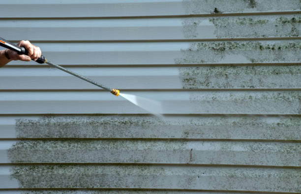 Best Building Exterior Washing  in Punta Rassa, FL