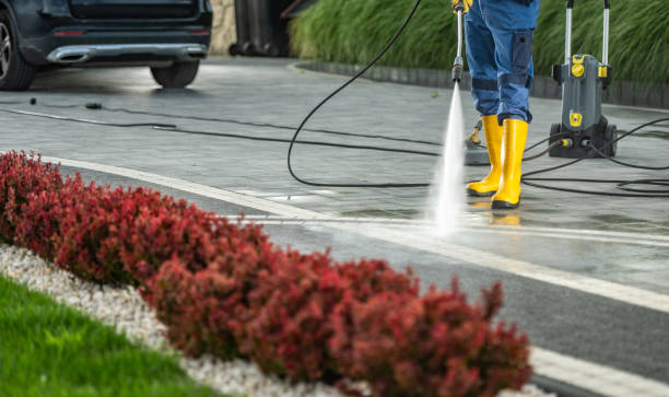 Best Driveway Pressure Washing  in Punta Rassa, FL